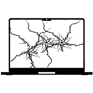 13" LCD Replacement
